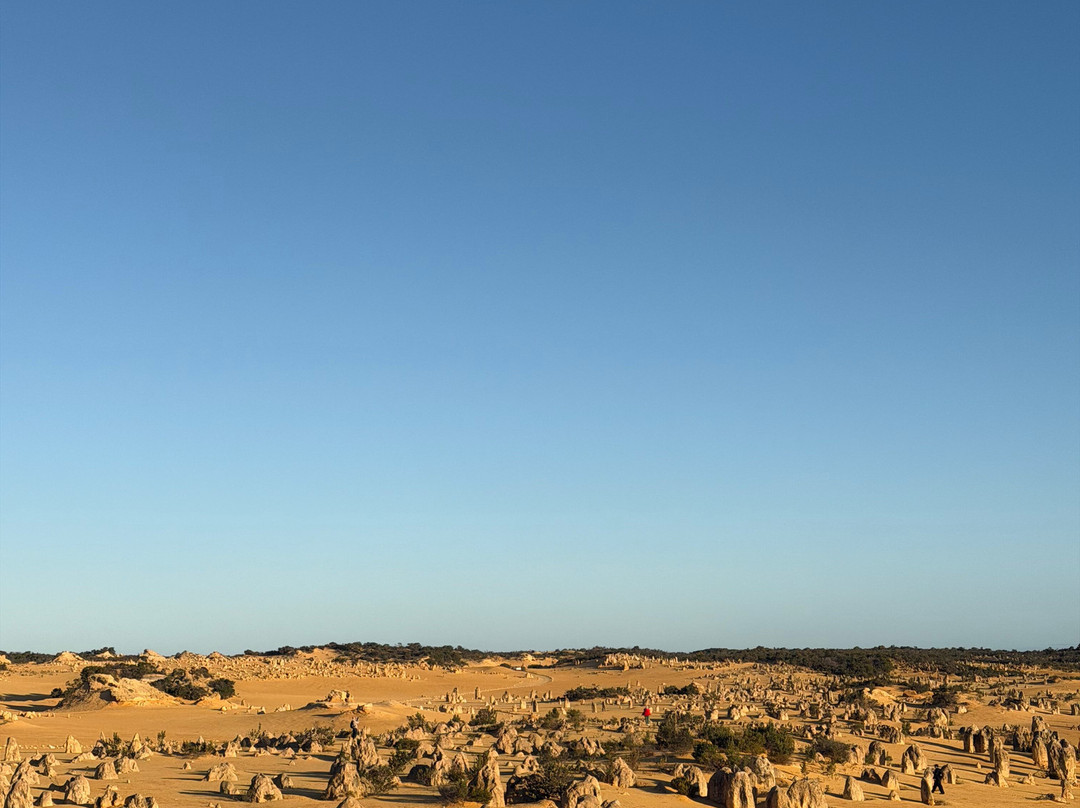 Nambung National Park-塞万提斯必去景点