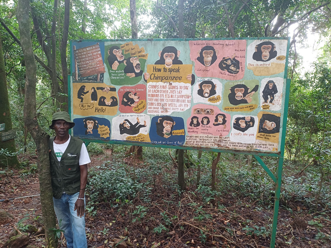 Tacugama Chimpanzee Sanctuary-弗里敦必去景点
