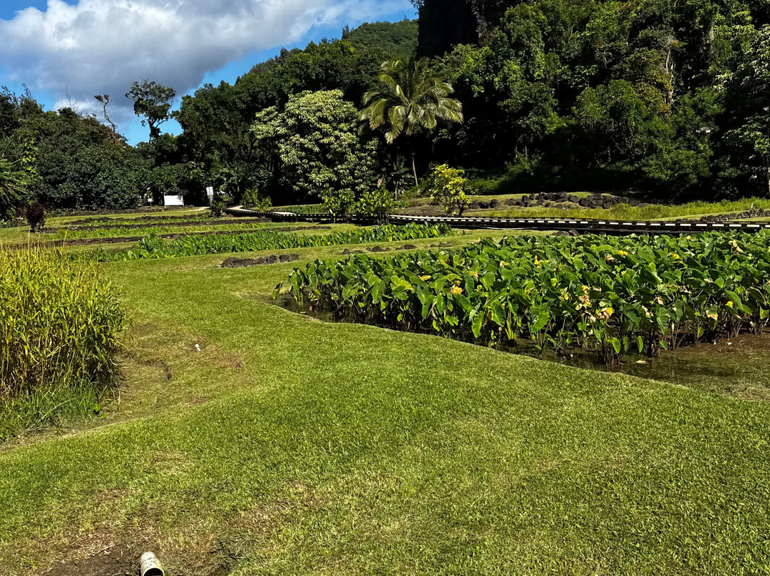 卡拉劳步道-可爱岛必去景点
