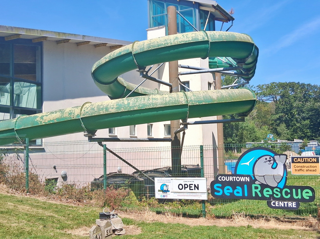 Seal Rescue Ireland-Courtown必去景点