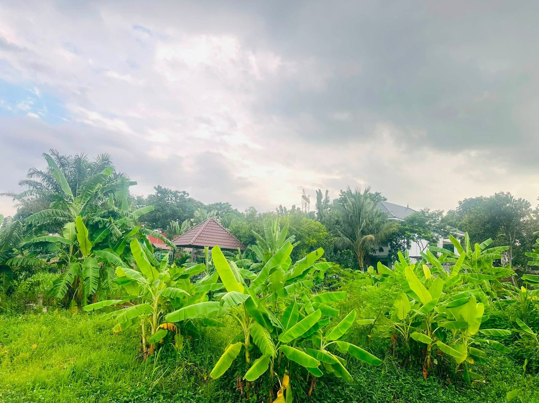 Khe Lau Lake-Nghia Thuan必去景点