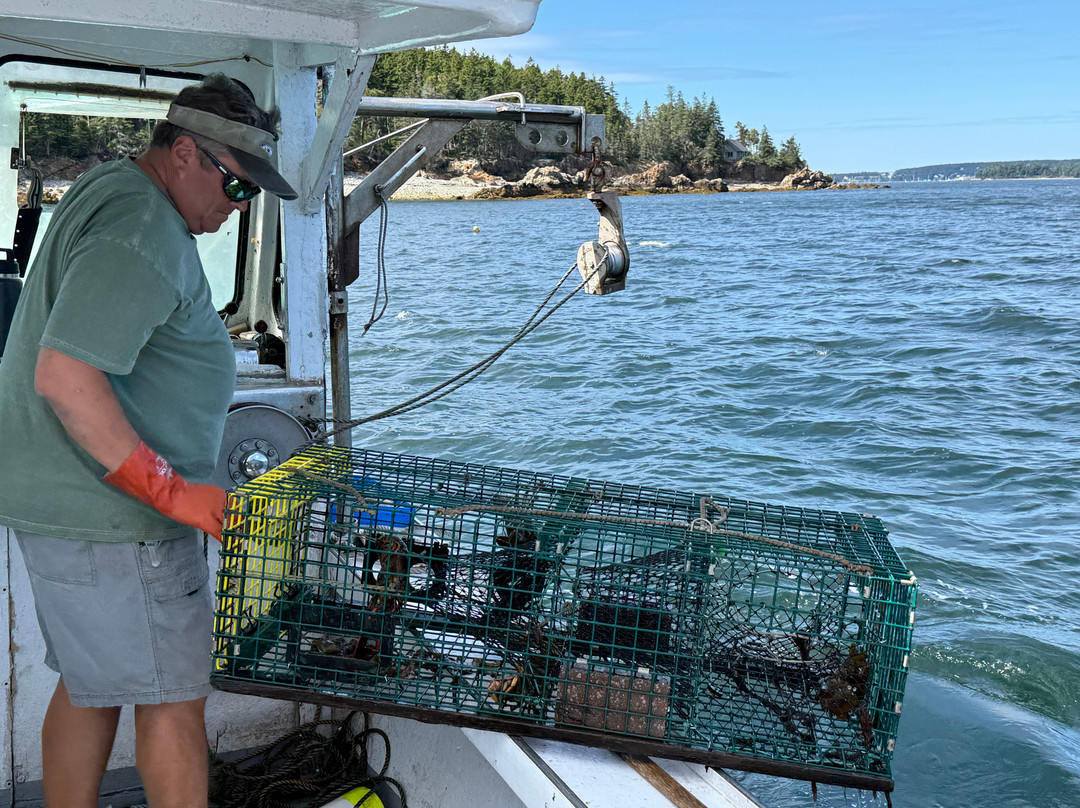Acadia Lobster Cruise-Southwest Harbor必去景点