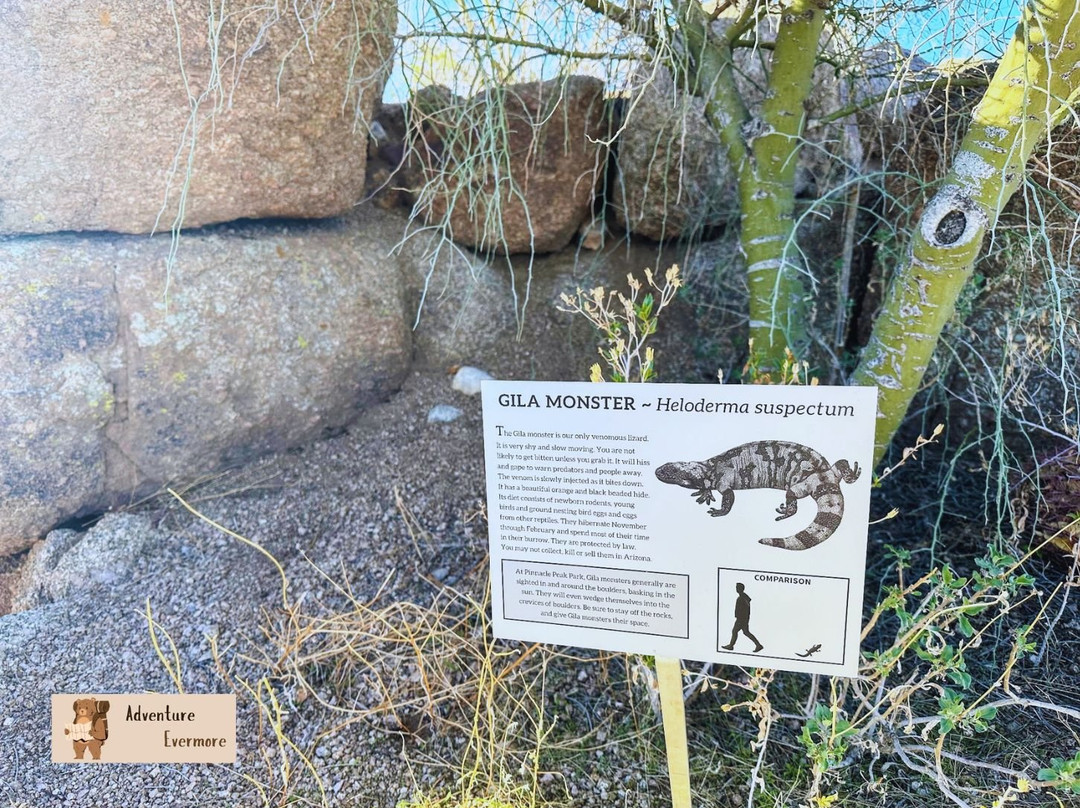 Pinnacle Peak Park-斯科茨代尔必去景点