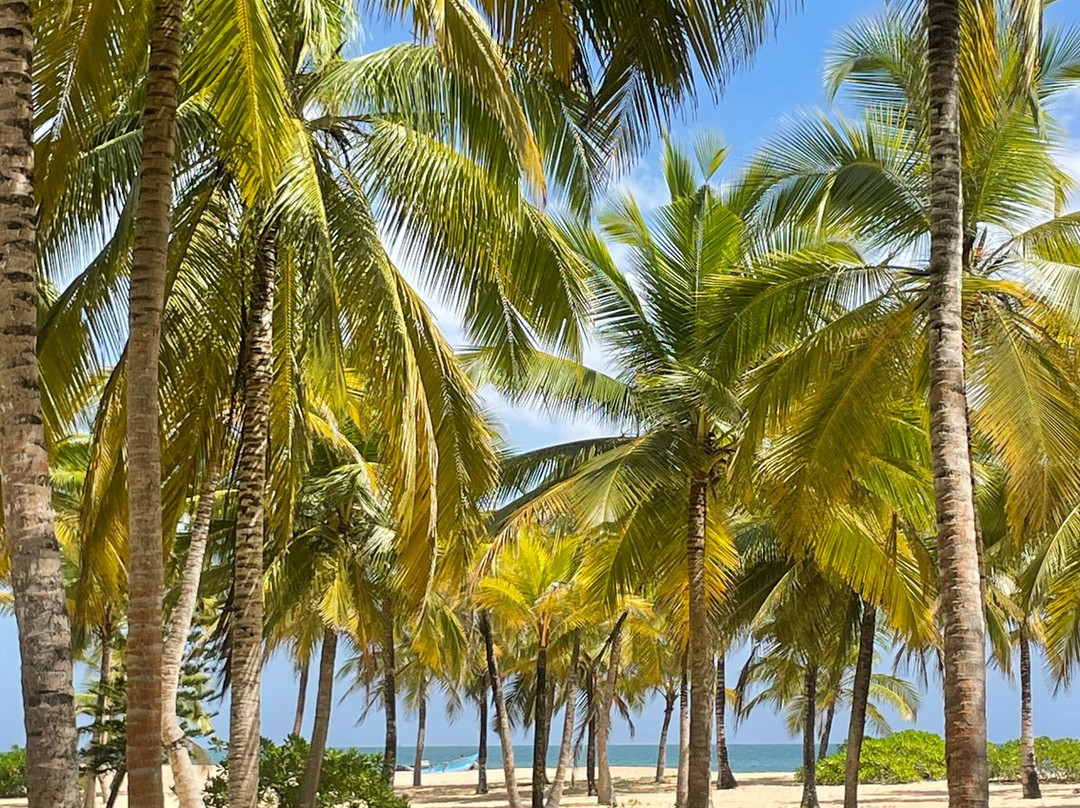 Poseidon Paradise Srilanka Tour Company-Chilaw必去景点