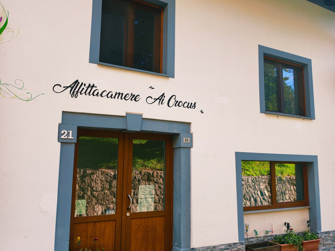 Affittacamere Ai Crocus主图