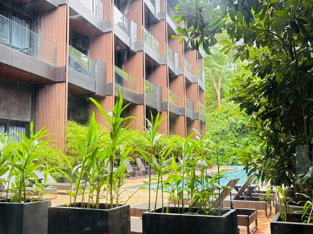 有趣的狮子酒店-爱妮岛主图
