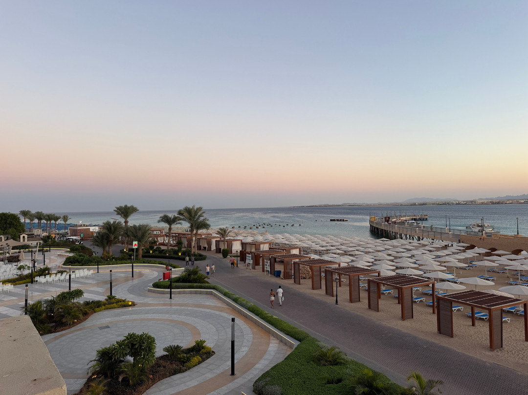 SRNTY Sahl Hasheesh