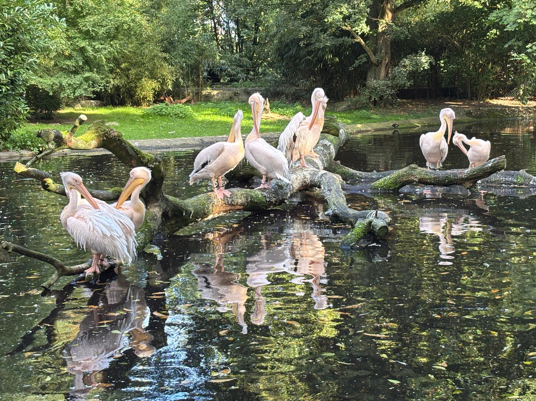 Tierpark Hagenbeck-汉堡必去景点