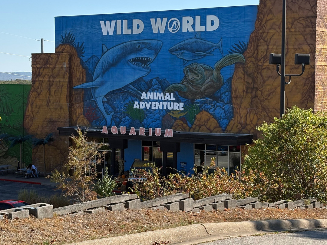 Branson's Wild World-布兰森必去景点