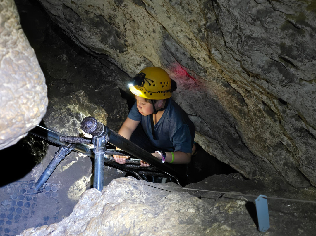 Giants Cave-Forest Grove必去景点