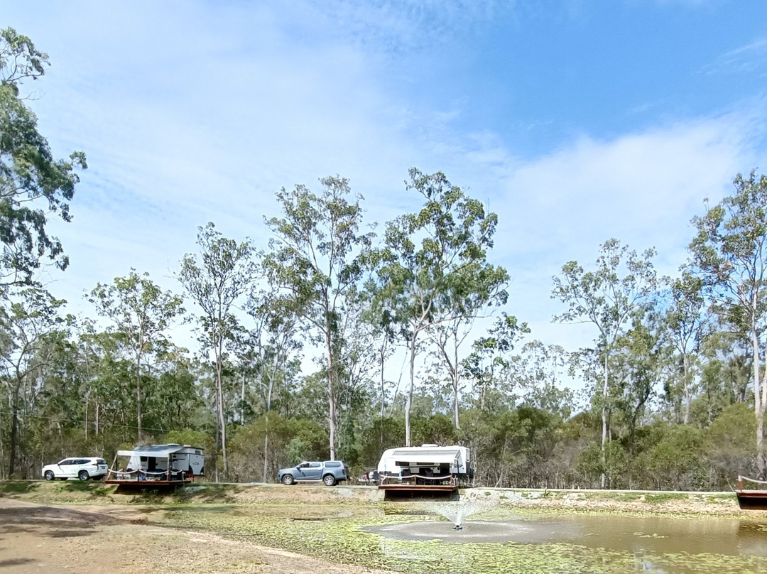 Gum Tree Lodge and Bush Camp