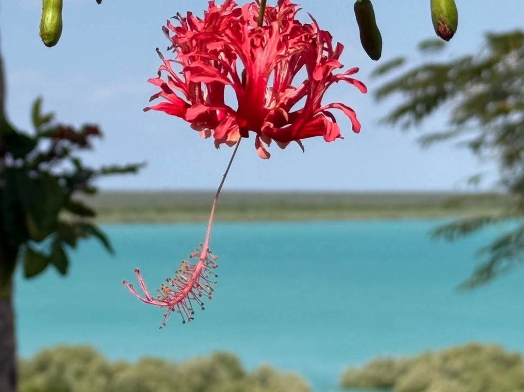 Coral Expeditions-凯恩斯必去景点
