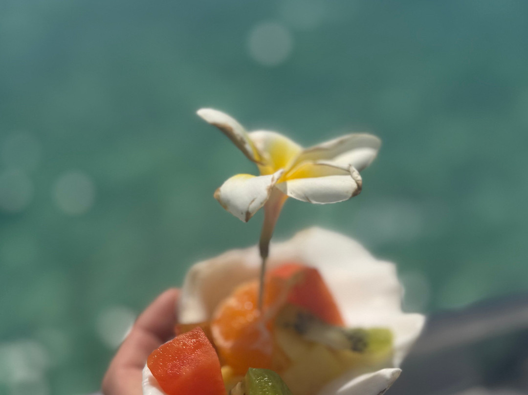 La Criee Ltee boat tours-蓝湾必去景点
