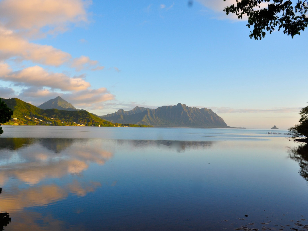 Punaluu酒店住宿-施埃德顺风村客栈