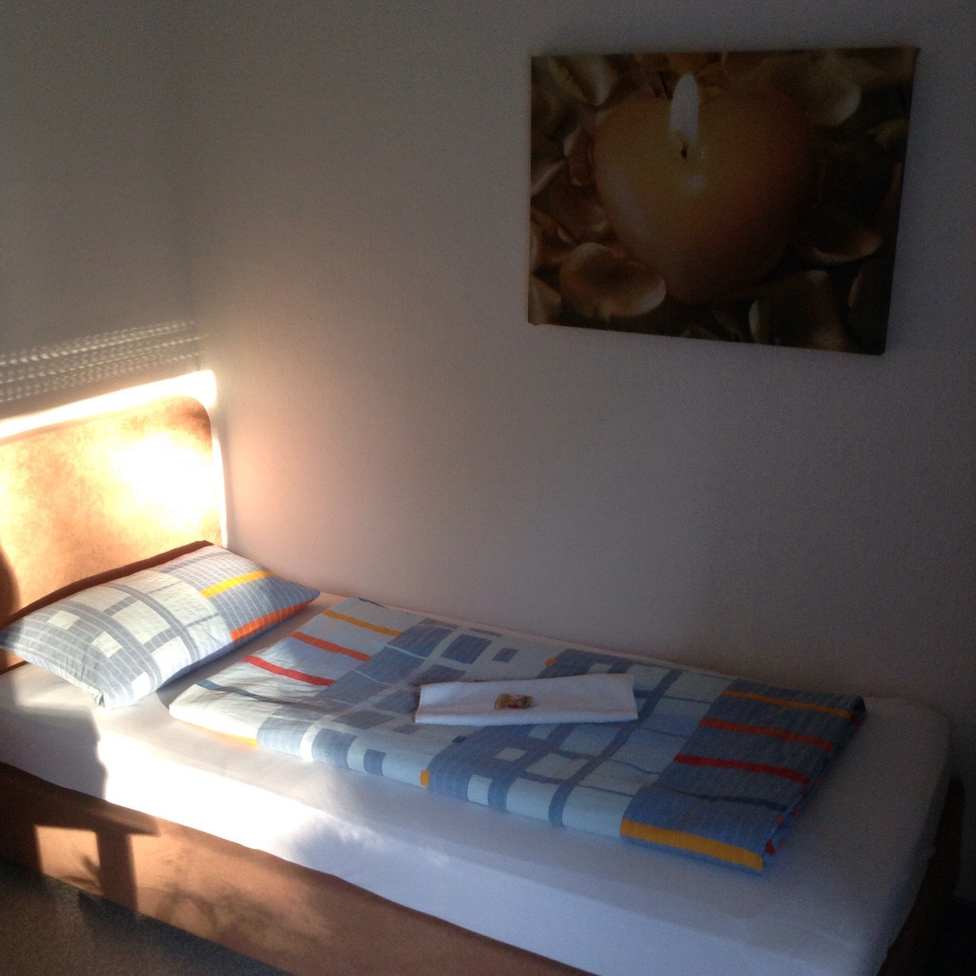 Hotel Garni Trumm-官方