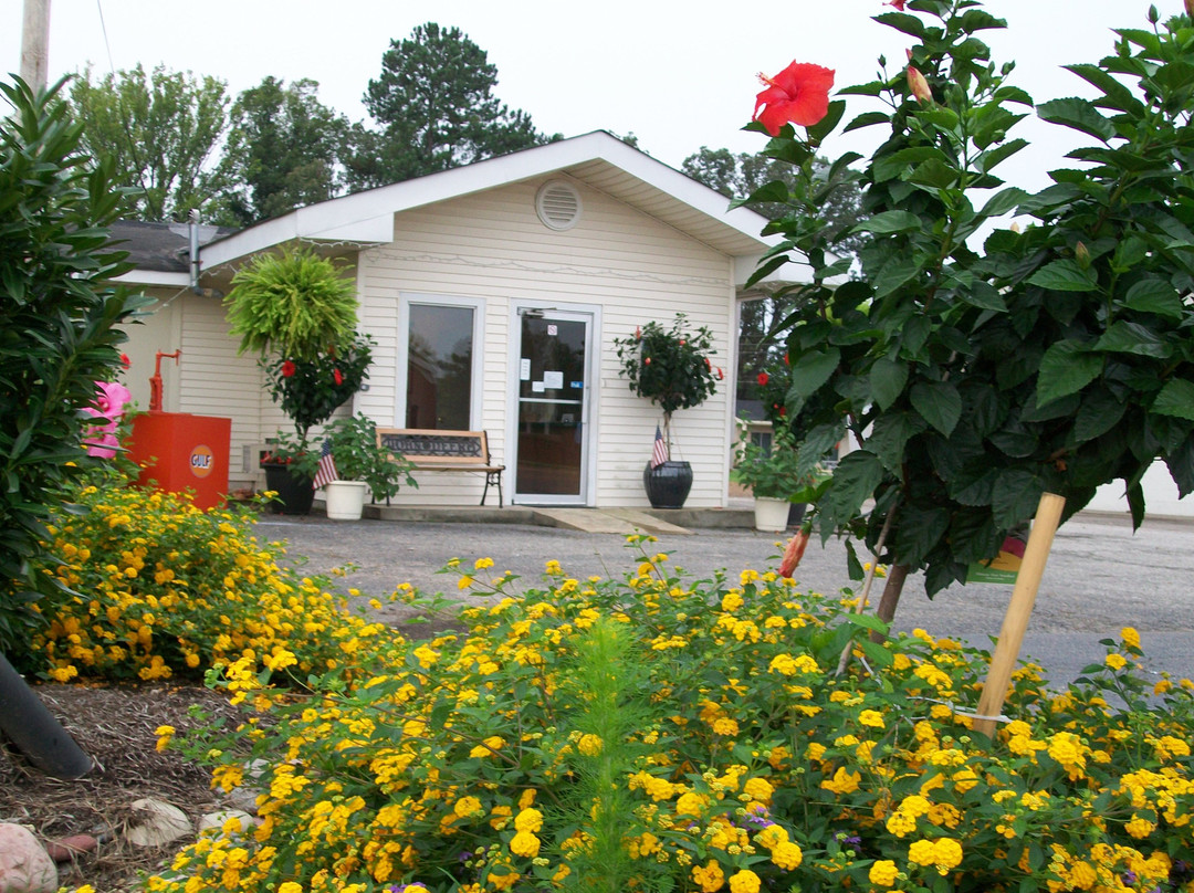 Wildersville酒店住宿-Parsons Inn