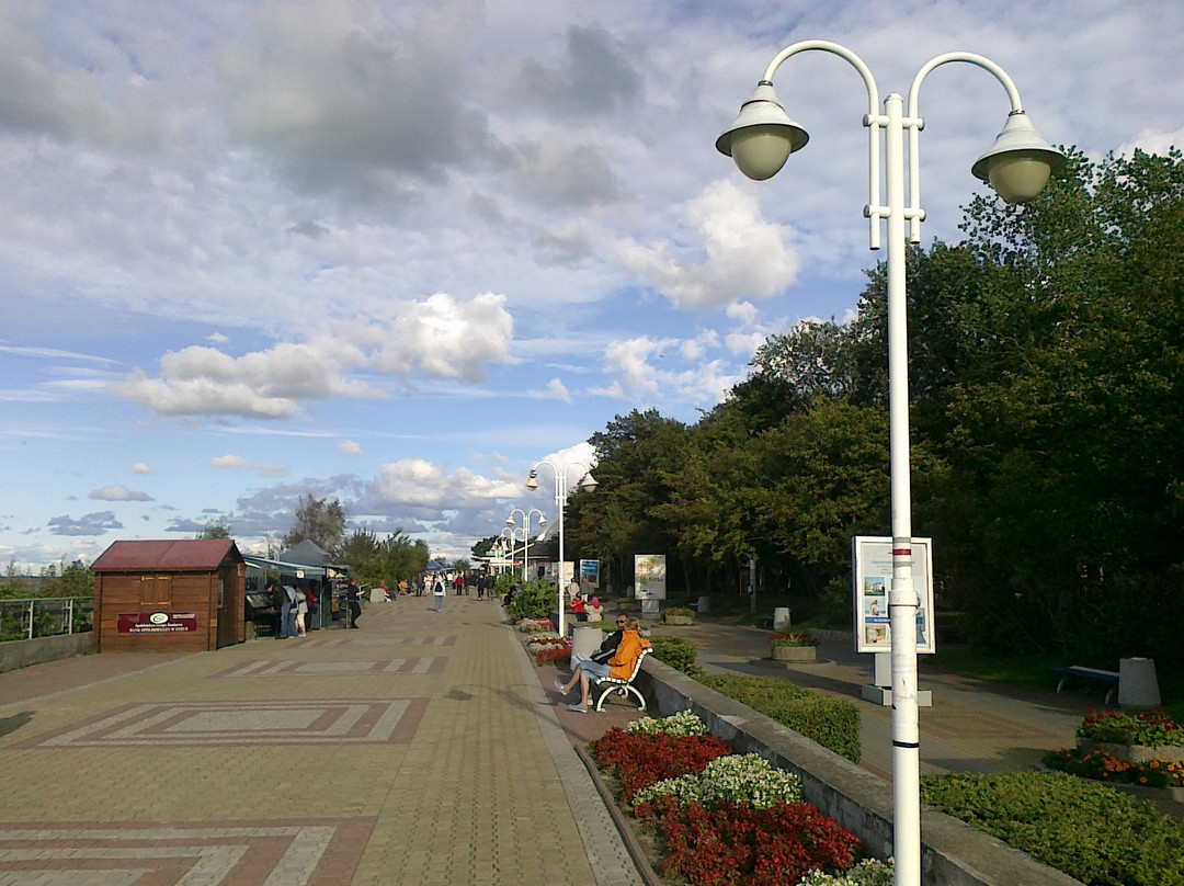 D.W. Medical SPA Usteczka