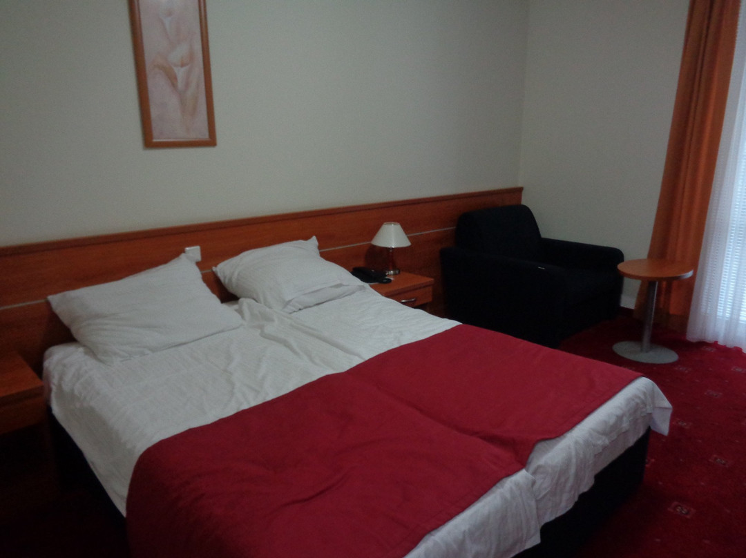 Kranj酒店住宿-Hotel Creina
