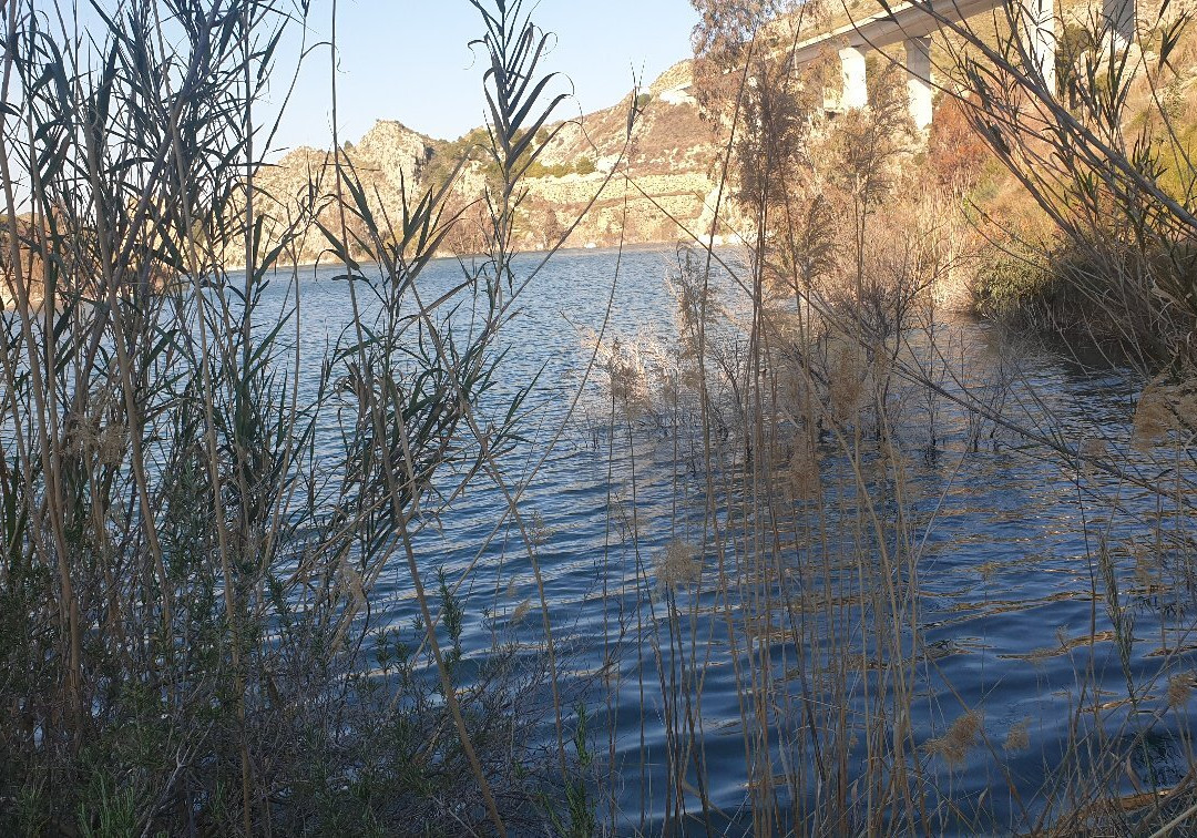 Embalse De La Cierva景点图片