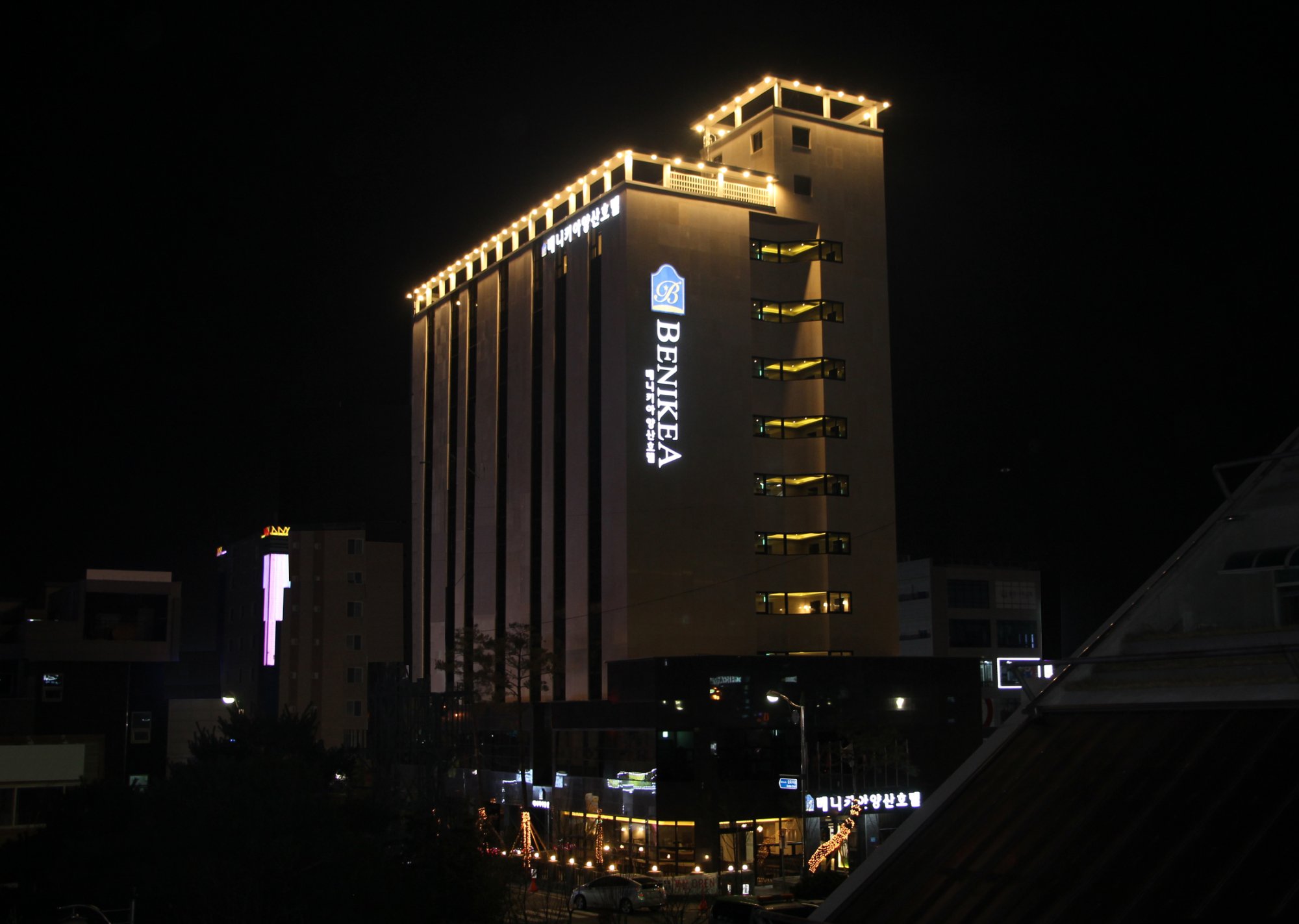 Benikea Hotel Yangsan-官方