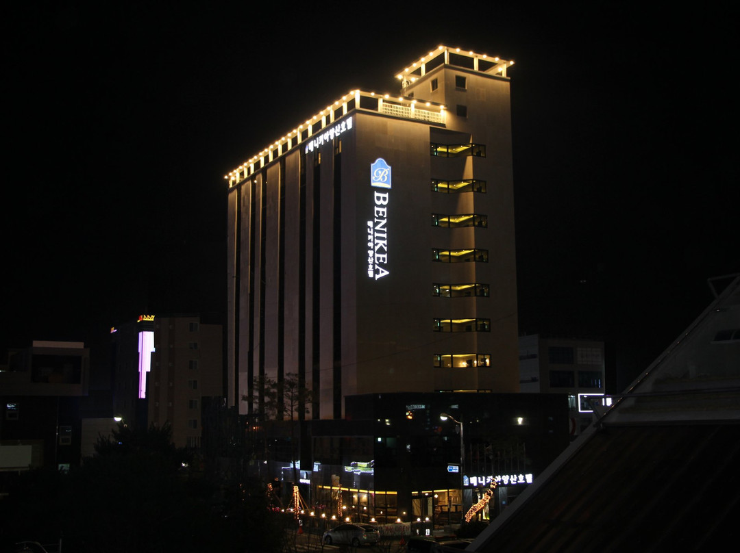 庆尚南道酒店住宿-Benikea Hotel Yangsan