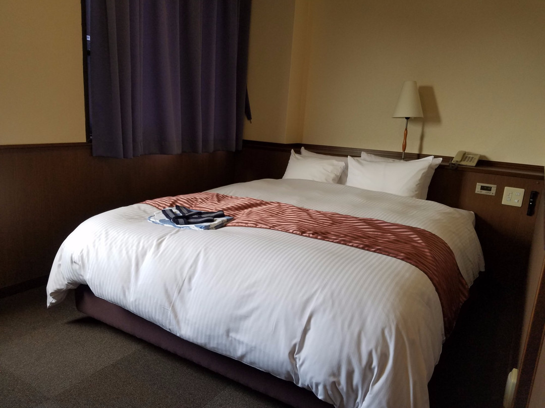 Nichinan Daiichi Hotel