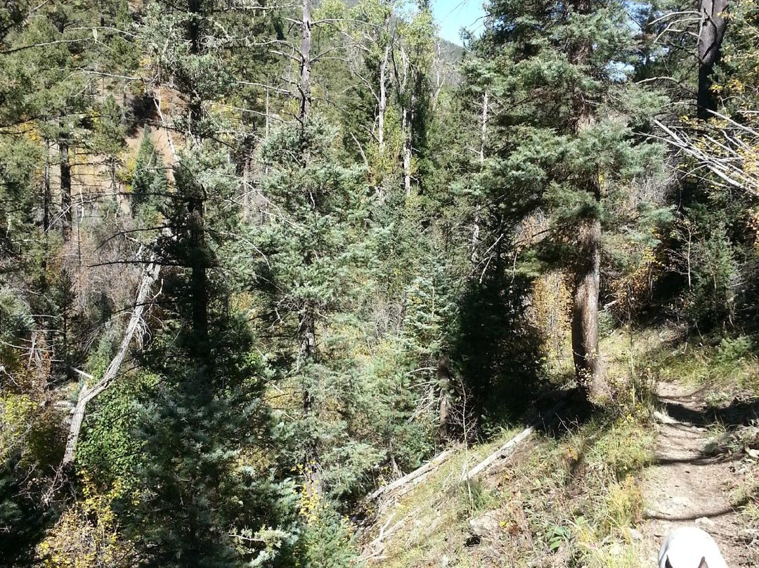 Columbine Trail景点图片