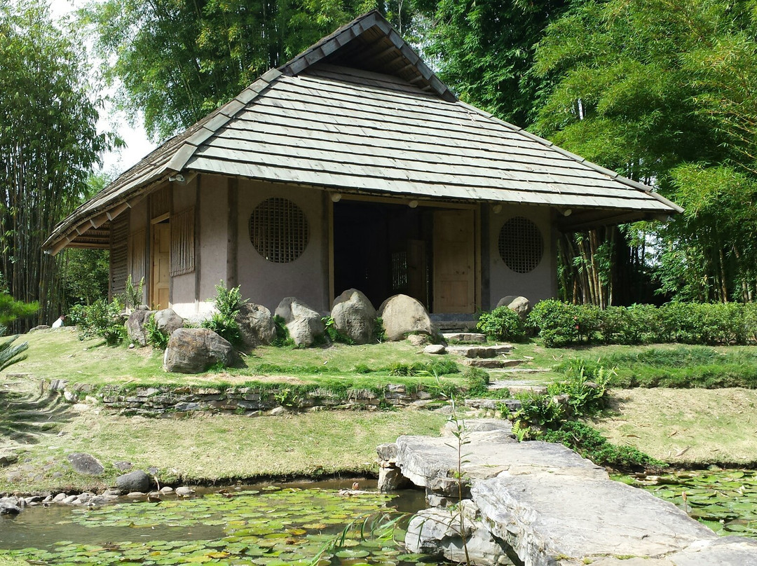 Jardin Botanico Lankester景点图片