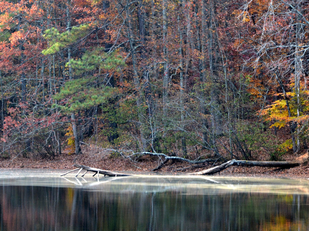 玛丽埃塔旅游攻略图片