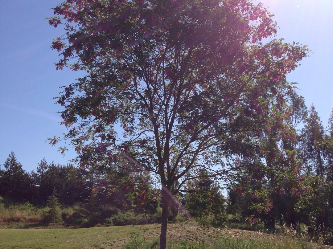 Washoe Creek Golf Course