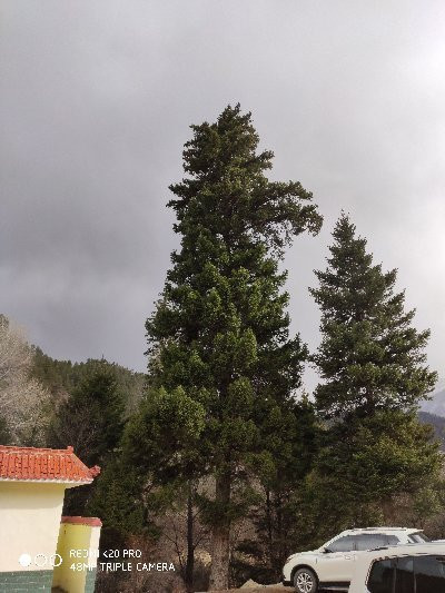 虎头山景点图片