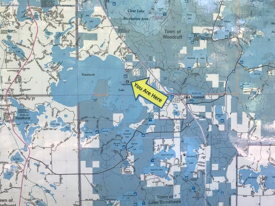 Northern Highland American Legion State Forest North Trout Lake Campground景点图片