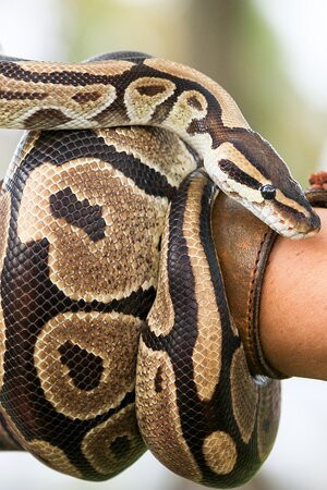 Animals in Wonderland-伊丽莎白港必去景点