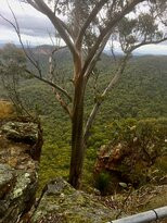 Mitchell Ridge Lookout景点图片