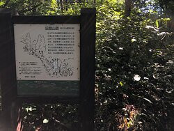 Mt. Tateyama-立山町必去景点