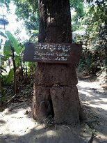 Rajabori Villas主图