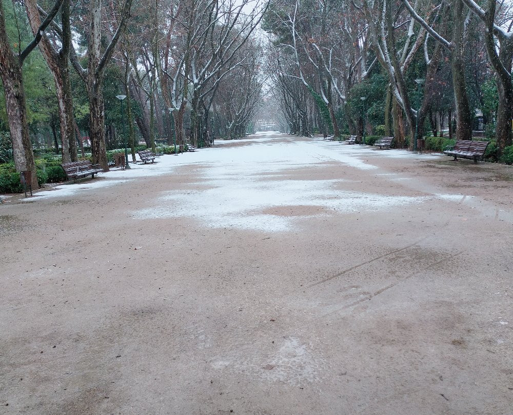 Parque de Abelardo Sanchez景点图片