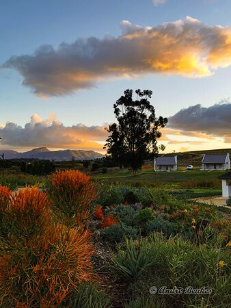 Rijks Wine Estate & Hotel主图