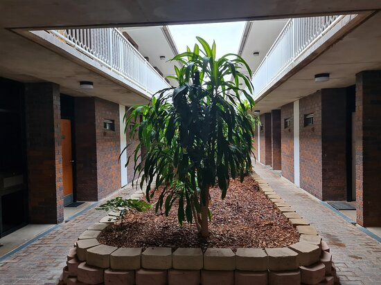 Longreach Motor Inn主图