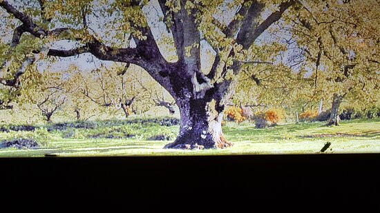 赫尔特山谷水疗酒店主图