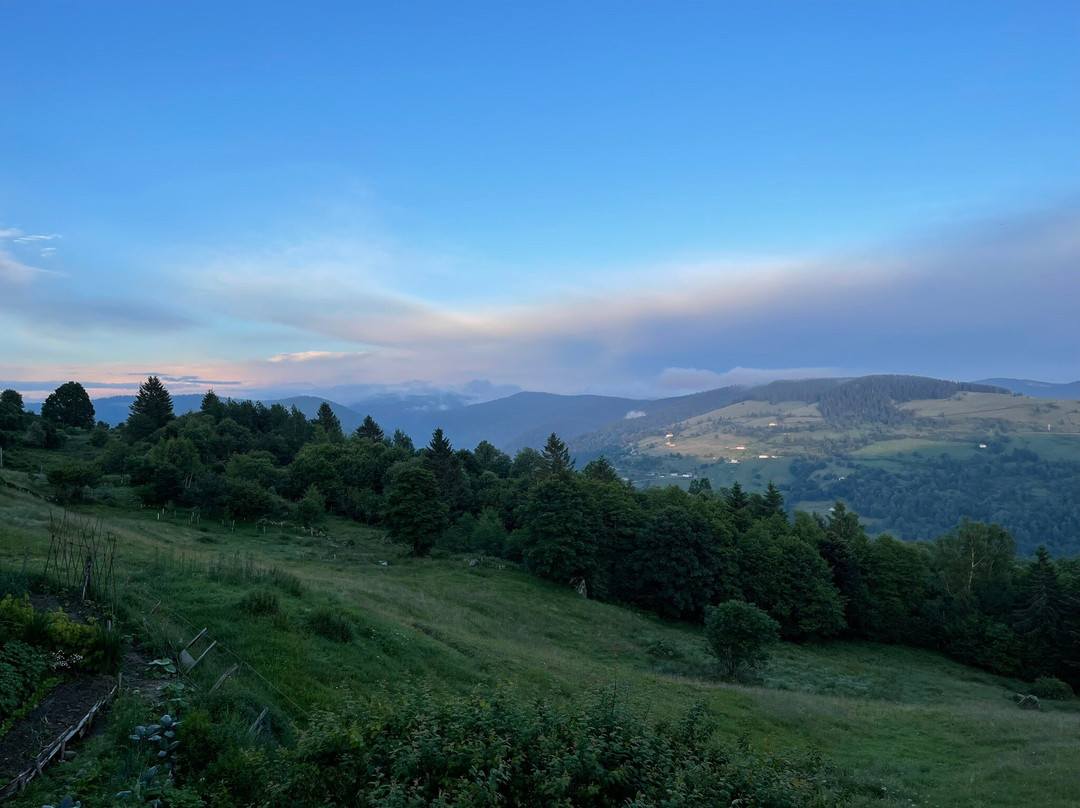 Les Tannes La Bresse