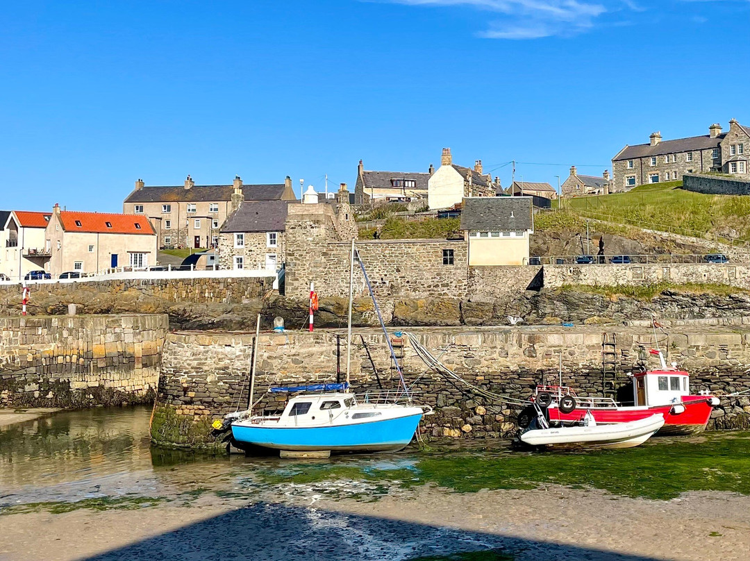 Portsoy Harbour-Portsoy必去景点