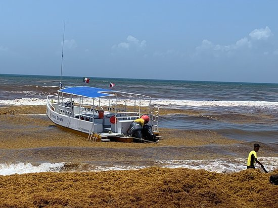 Dressel Divers Cancún-坎昆必去景点