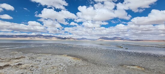 Parque Nacional Salar del Huasco景点图片