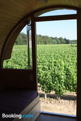 Les Sens De La Terre