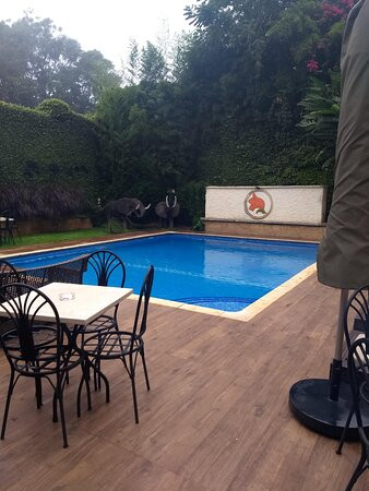 非洲郁金香宾馆主图