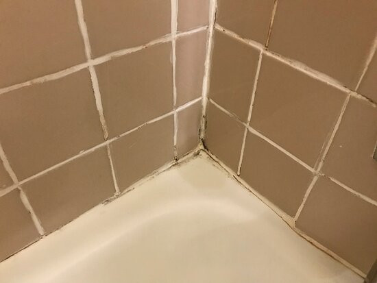 康瑟尔布拉夫斯温德姆美吟温德姆酒店