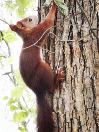 Parque Municipal de San Vicente-Lliria必去景点