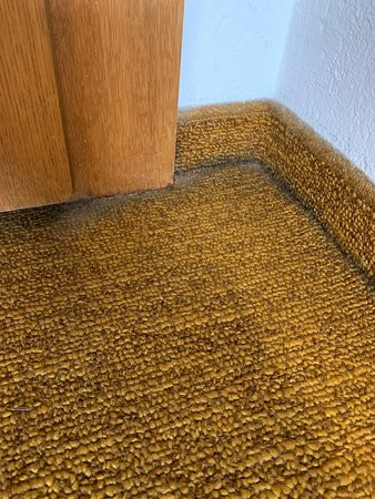 Sporthotel Austria主图