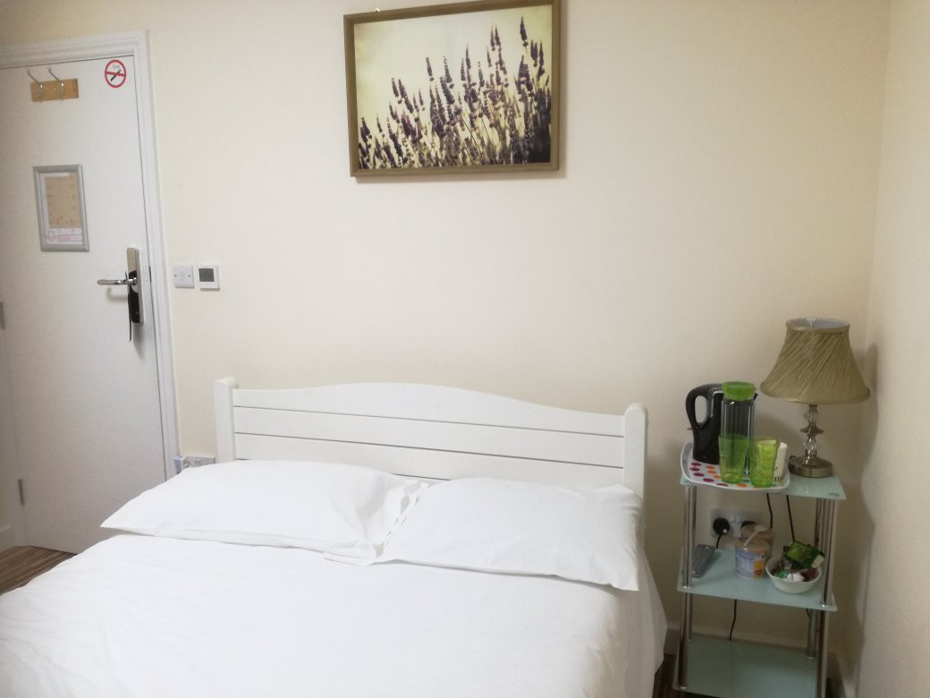 Namaste Palace Hotel主图